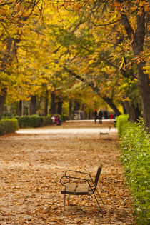 Spain, Madrid, Parque del Buen Retiro park, fall foliage von Danita Delimont