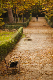 Spain, Madrid, Parque del Buen Retiro park, fall foliage by Danita Delimont