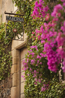 Spain, Extremadura Region, Caceres Province, Caceres, Ciudad... von Danita Delimont