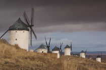 Spain, Castile-La Mancha Region, Toledo Province, La Mancha ... von Danita Delimont