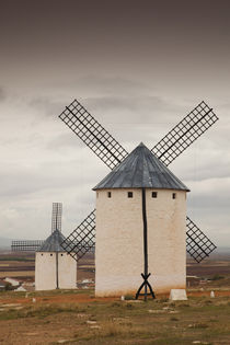 Spain, Castile-La Mancha Region, Ciudad Real Province, La Ma... von Danita Delimont