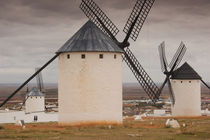 Spain, Castile-La Mancha Region, Ciudad Real Province, La Ma... von Danita Delimont