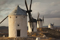 Spain, Castile-La Mancha Region, Toledo Province, La Mancha ... von Danita Delimont