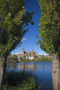 Spain, Castilla y Leon Region, Salamanca Province, Salamanca... by Danita Delimont