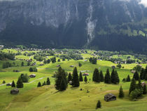 Switzerland, Bern Canton, Grindelwald, Alpine farming community von Danita Delimont