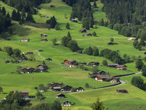 Switzerland, Bern Canton, Grindelwald, Apline farming community von Danita Delimont