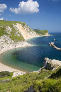 View above Man O War Bay along the Jurassic Coast, Dorset, England by Danita Delimont