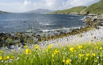 Isle of Harris, Scotland, UK von Danita Delimont