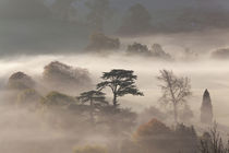 Misty autumn morning, Uley, Gloucestershire, UK von Danita Delimont