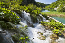 Plitvice Lakes, Croatia by Danita Delimont