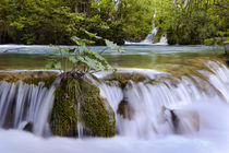 Plitvice Lakes, Croatia von Danita Delimont