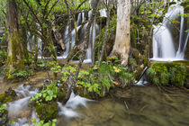 Plitvice Lakes, Croatia von Danita Delimont