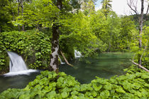 Plitvice Lakes, Croatia by Danita Delimont