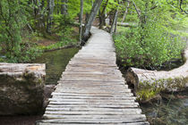 Plitvice Lakes, Croatia by Danita Delimont