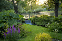 Sunset over Bibury Park, Bibury, Gloucestershire, England by Danita Delimont