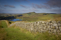 Dawn at Hadrian's Wall near the Roman fort at Housesteads, N... von Danita Delimont