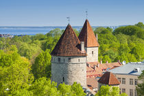 View of Tallinn from Toompea hill, Old Town of Tallinn, UNES... by Danita Delimont