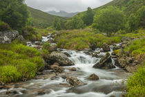 Europe, Scotland, Cairngorm National Park von Danita Delimont
