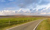 Ronas Hill, Northmavine, Shetland, Scotland by Danita Delimont