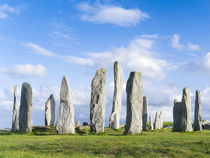 Standing Stones of Callanish, Schottland by Danita Delimont