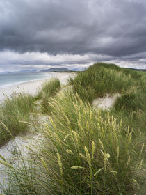 Isle of Berneray, North Uist, Scotland von Danita Delimont