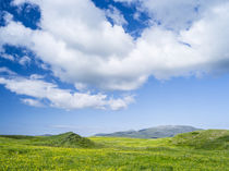 Landscape on the island of South Uist by Danita Delimont