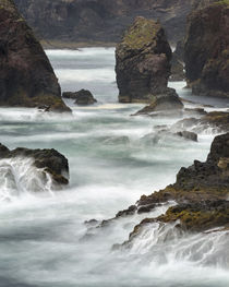 Landscape at Eshaness, Shetland, Scotland von Danita Delimont