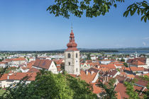 Ptuj Old Town by Danita Delimont