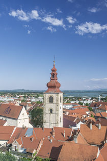 Ptuj Old Town von Danita Delimont