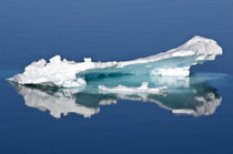 Ice flows, Greenland Sea, East Coast of Greenland von Danita Delimont