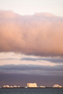 Icebergs at sunrise, Cape York, West Coast of Greenland von Danita Delimont