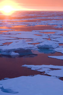Sunset, Greenland Sea, East Coast of Greenland von Danita Delimont
