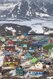 Greenland, Disko Bay, Ilulissat, elevated town view von Danita Delimont