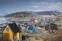 Greenland, Qaqortoq, elevated town view by Danita Delimont