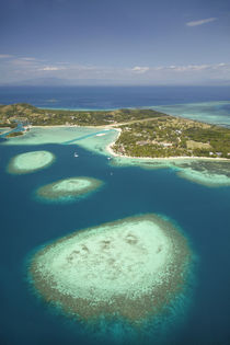 Coral reef and Malolo Lailai Island, Mamanuca Islands, Fiji,... by Danita Delimont