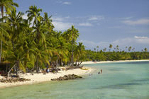 Beach, palm trees and beachfront bures, Plantation Island Re... von Danita Delimont