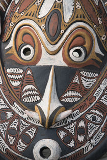 Melanesia, Papua New Guinea, Sepik River area, Murik Lakes, ... by Danita Delimont