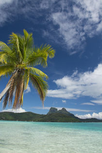 French Polynesia, Society Islands, Leeward Islands, Bora Bora von Danita Delimont