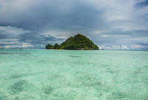 Little island in the Rock Islands, Palau, Central Pacific von Danita Delimont