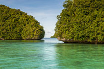 Little rock islet in the famous Rock Islands, Palau, Central Pacific by Danita Delimont