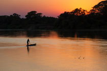 Brazil, Mato Grosso, The Pantanal, Rio Cuiaba von Danita Delimont