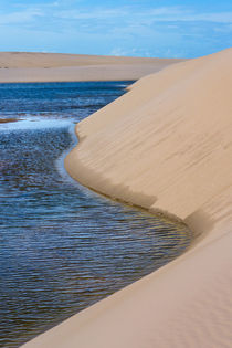 Sand dune and lagoon, Lencois Maranheinses National Park, Ma... von Danita Delimont