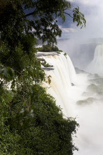 Iguacu Falls, Cataratta Foz do Iguacu, Parana, Iguazu N by Danita Delimont