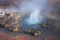 El Tatio Geyser Ground Water with Steam II by Danita Delimont