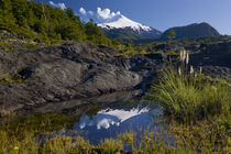 Villarrica National Park, Chile von Danita Delimont