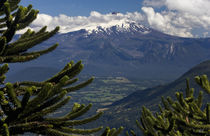 Huerquehue National Park, Chile von Danita Delimont