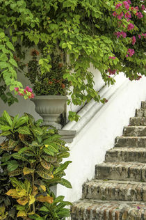 High on an imposing hill, Convento overlooks Cartagena, Colombia. von Danita Delimont