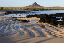 Ecuador, Galapagos Islands, Santa Cruz, Cerro Dragon von Danita Delimont