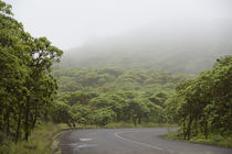 South America, Ecuador, Galapagos Islands, Santa Cruz Island by Danita Delimont