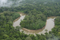 Tiputini River and Rainforest von Danita Delimont
